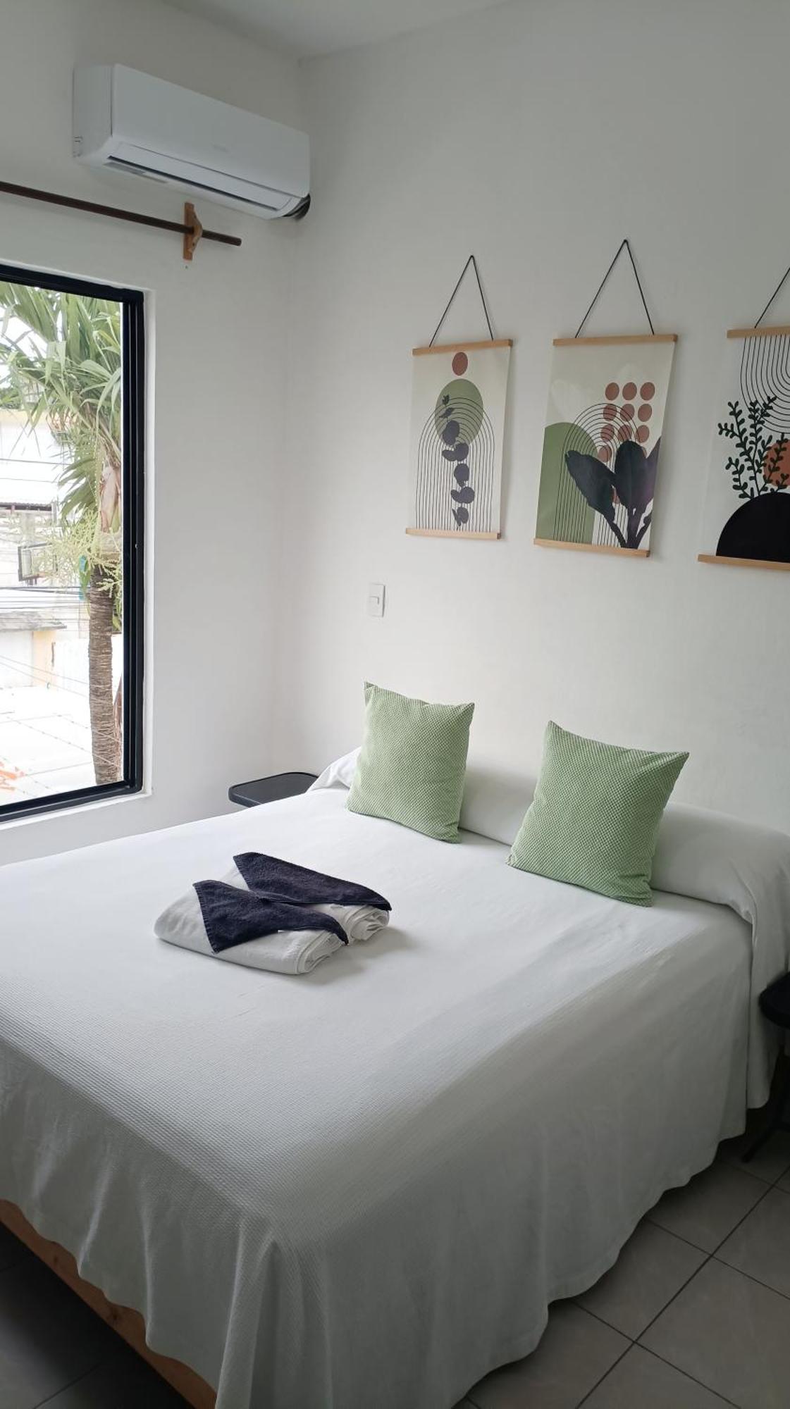 Tauch Cancun Centro المظهر الخارجي الصورة